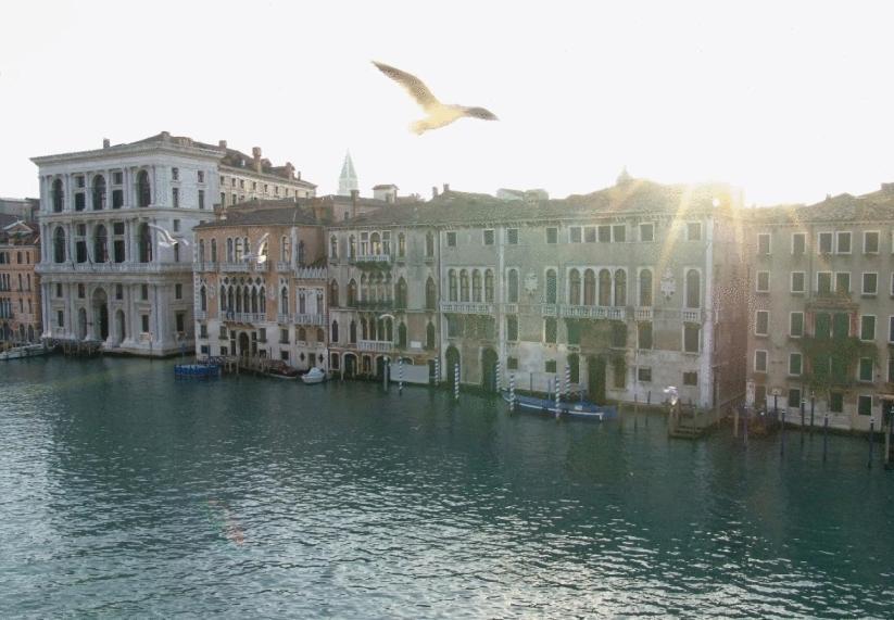 Ca' Angeli Bed & Breakfast Venezia Eksteriør bilde